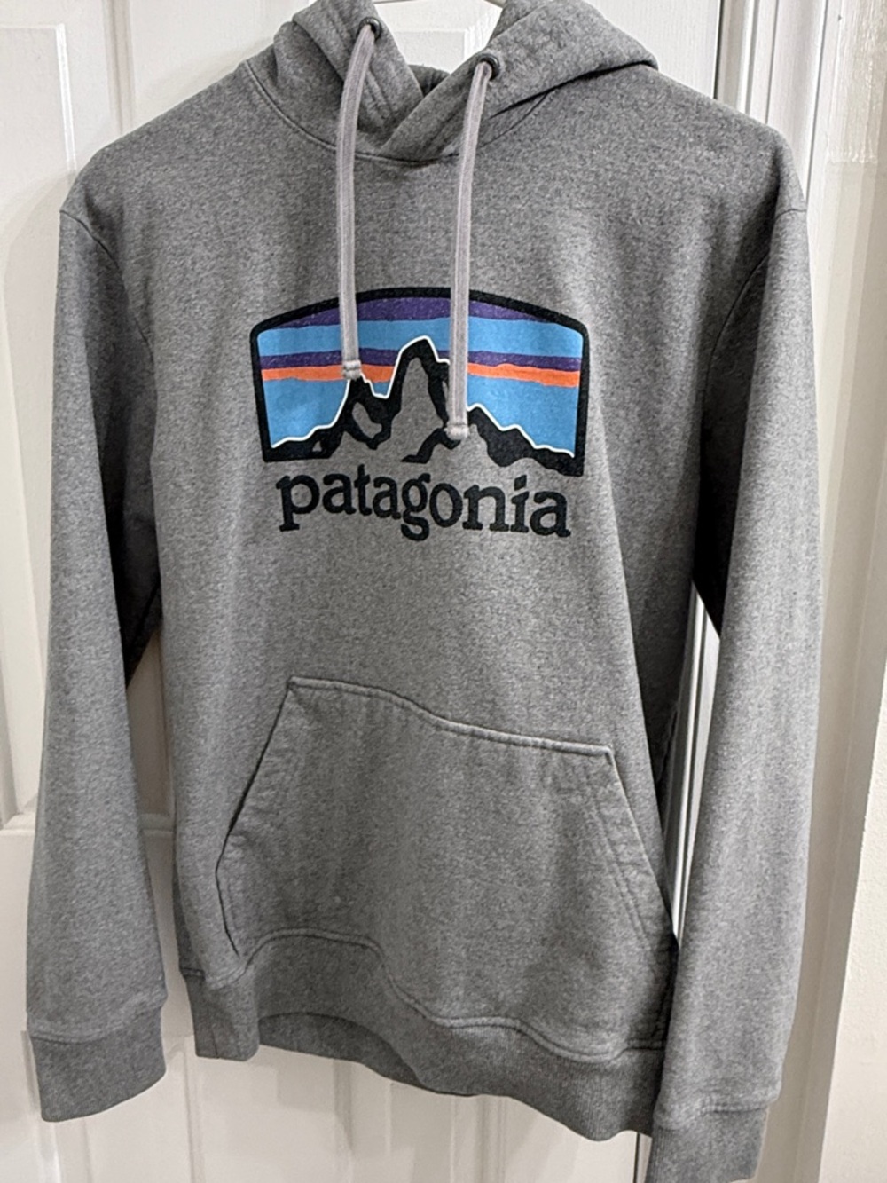 Patagonia Gray Pullover Hoodie with Multicolor Mountain Logo